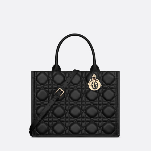 Dior Medium Dior Book Tote