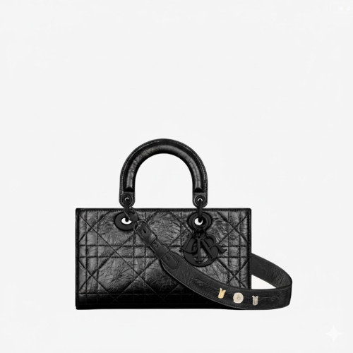 Dior Small Lady D-sire My ABCDior Bag