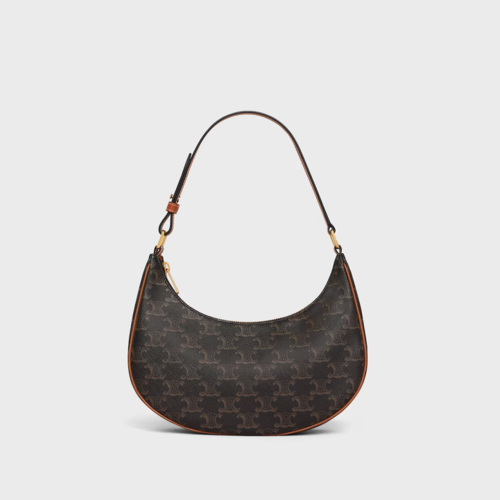 Celine Ava Bag IN Triomphe Canvas and calfskin