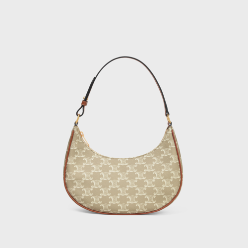 Celine Ava Bag in Triomphe Canvas and calfskin