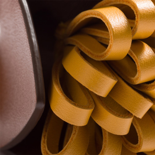 Miu Miu Leather trick