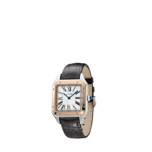 Cartier Santos-Dumont watch