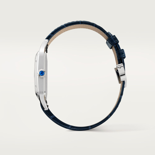 Cartier Santos-Dumont watch