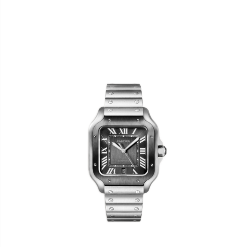 Cartier Santos de Cartier watch