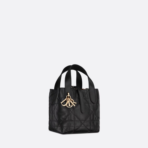 Dior Toujours Vertical Nano Tote Bag