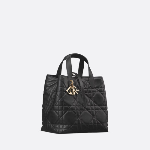 Dior Medium Dior Toujours Vertical Tote Bag