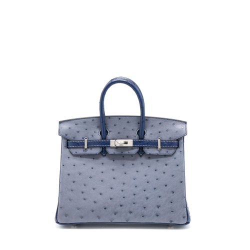 Hermes Birkin 25 Ostrich Gris agete Blue Iris Silver