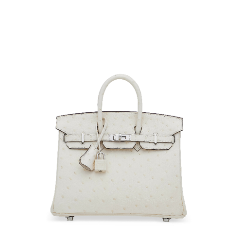 Hermes Birkin 20 Ostrich Nata Silver