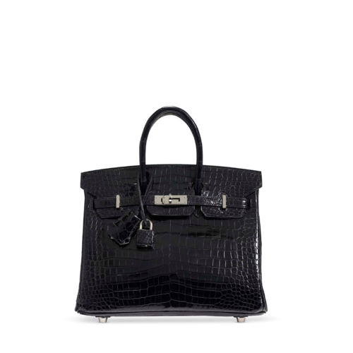 Hermes Birkin 25 Porosus Noir Silver