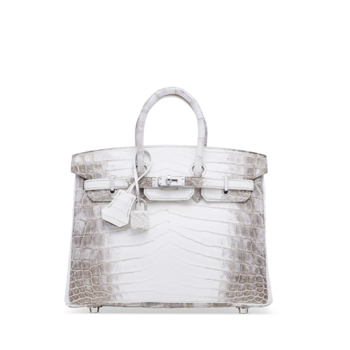 Hermes Birkin 25 Himalaya Silver