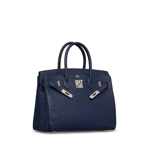 Hermes Birkin 25 Ostrich Blue Iris Silver