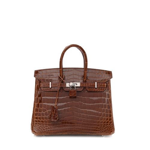 Hermes Birkin 25 Glossy Alligator Miel Silver