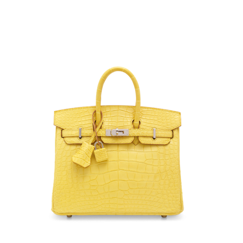 Hermes Birkin 25 Matt Porosus Mimosa Gold
