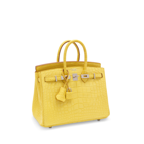 Hermes Birkin 25 Matt Porosus Mimosa Gold