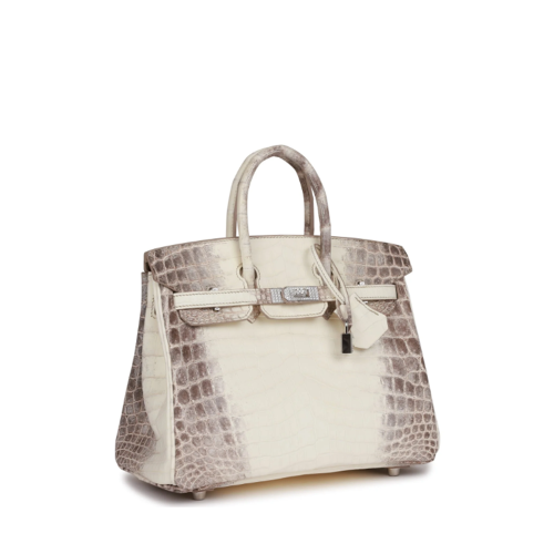 Hermes Birkin 25 Himalaya Diamond