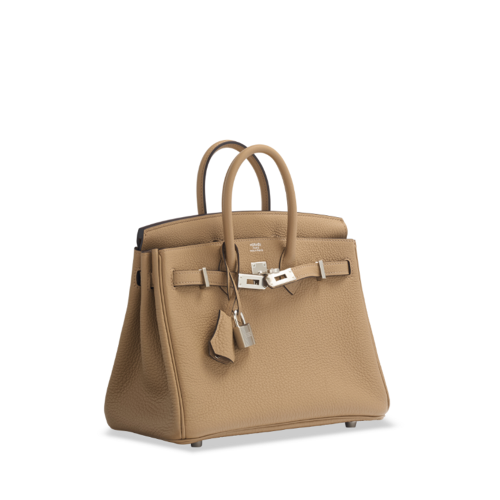 Hermes Birkin 25 Togo Chai Silver
