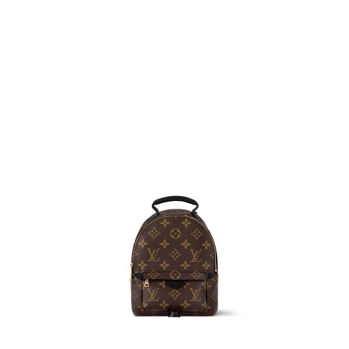 Louis Vuitton Palm Springs Mini