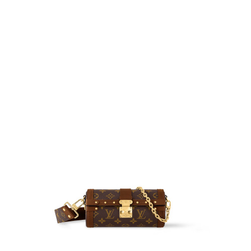 Louis Vuitton Papillon Trunk