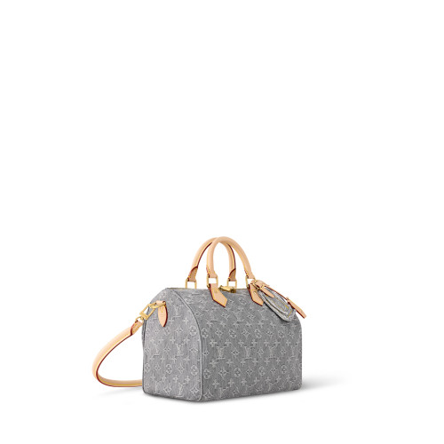 Louis Vuitton Speedy Soft 30