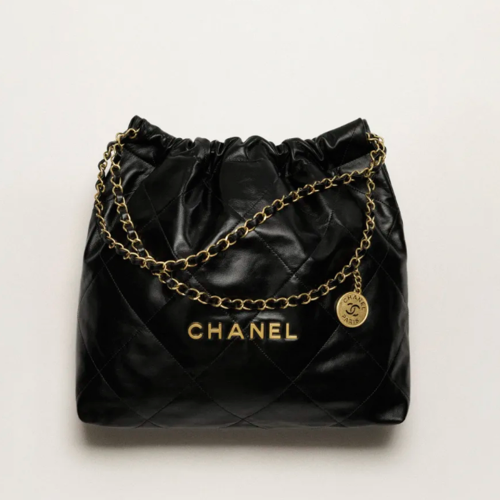 CHANEL 22 Handbag