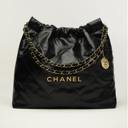 CHANEL 22 Handbag