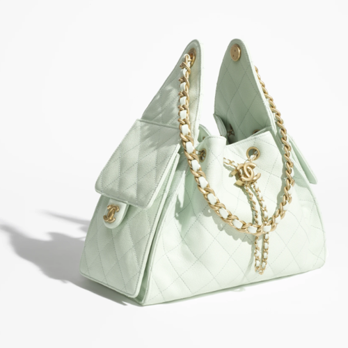 CHANEL 25 Small Handbag