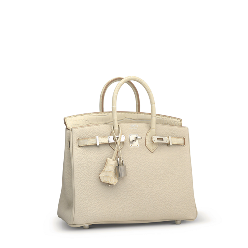 Hermes Birkin Touch 25