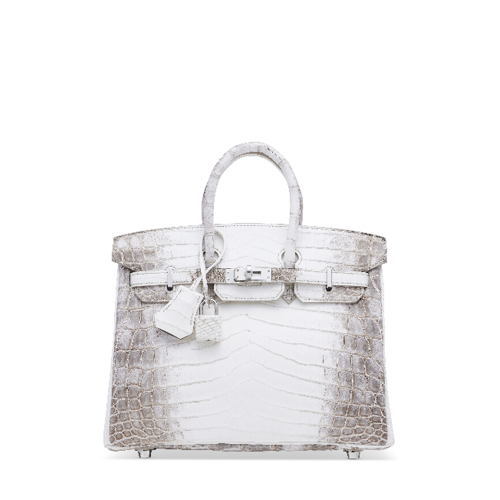 Hermes Birkin 25 Himalaya Silver