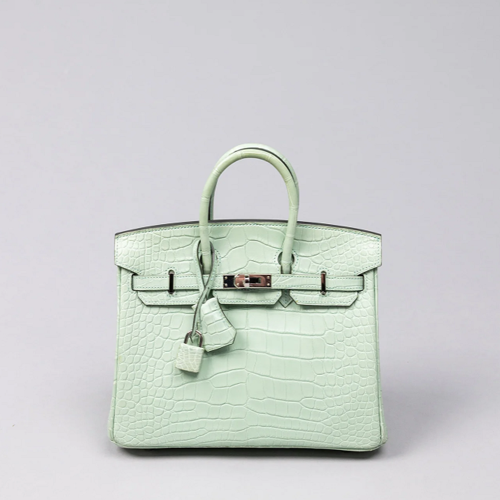 Hermes Birkin 20 Alligator Vert deau Silver