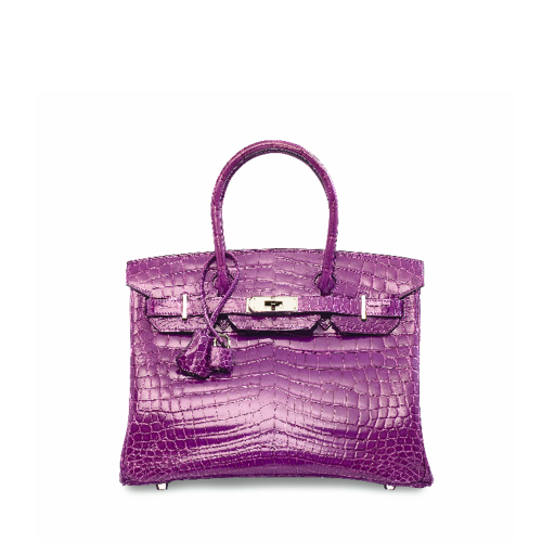 Hermes Birkin 30 Porosus Silver