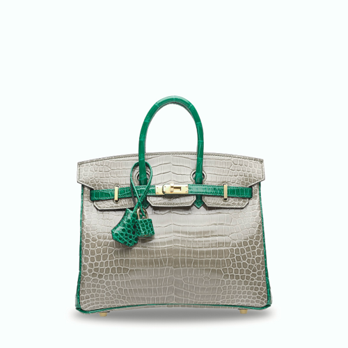 Hermes Birkin 25 Gris Tourterelle X Vert Fonce Gold