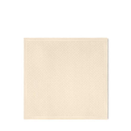 Louis Vuitton Monogram Classic Shawl