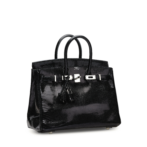 Hermes Birkin 25 Lizard Noir Silver