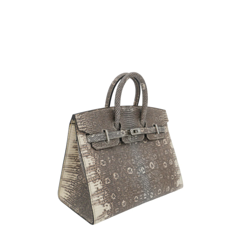 Hermes Birkin 20 Lizard Silver