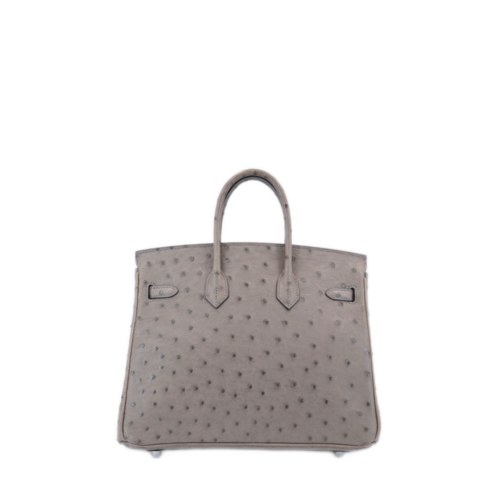 Hermes Birkin 25 Ostrich Gris Tourterelle Silver