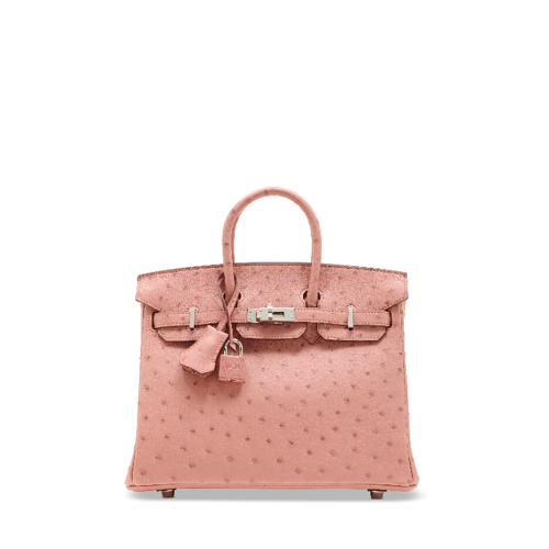 Hermes Birkin 25 Ostrich Silver