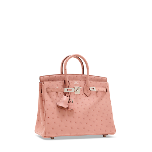 Hermes Birkin 25 Ostrich Silver