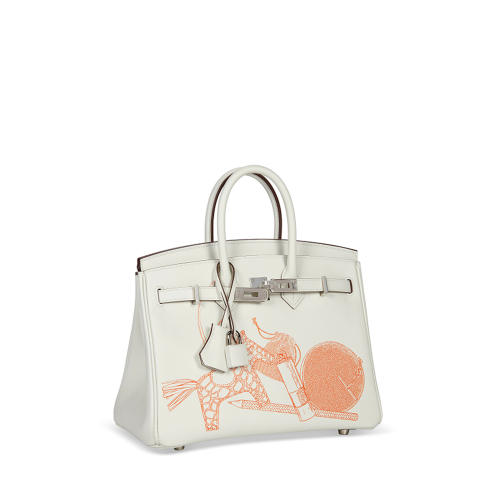 Hermes IN & OUT BIRKIN 25