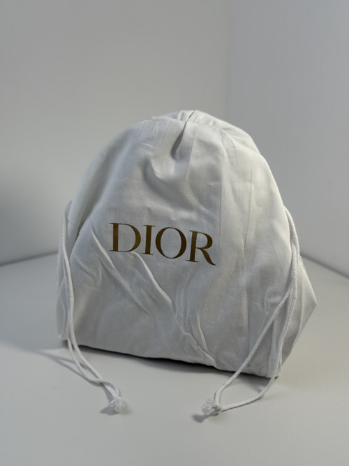 양X라님 디올 오블리크 디바이브 볼링백