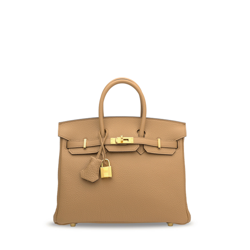 Hermes Birkin 25 Togo Chai Gold