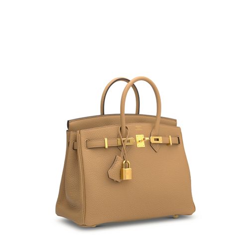 Hermes Birkin 25 Togo Chai Gold
