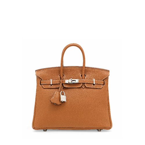 Hermes Birkin 25 Togo Gold Silver