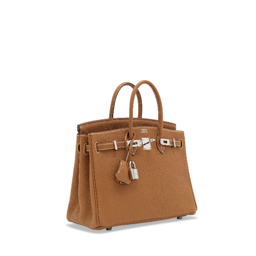Hermes Birkin 25 Togo Gold Silver