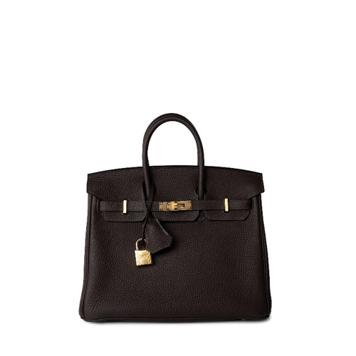 Hermes Birkin 25 Togo Ebene Gold