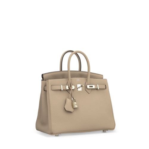 Hermes Birkin 25 Togo Gris Tourterelle Silver