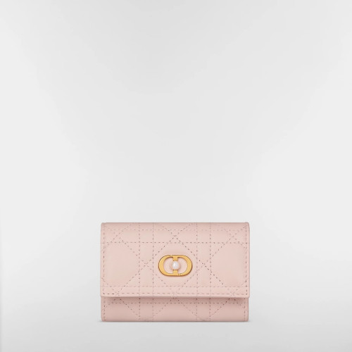 Dior Jolie Glycine Wallet